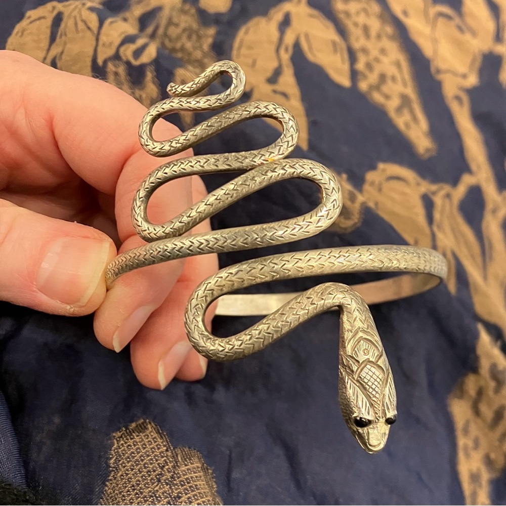 Snake - Picture 7 of 7
